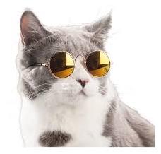 Gray helmet for bikers